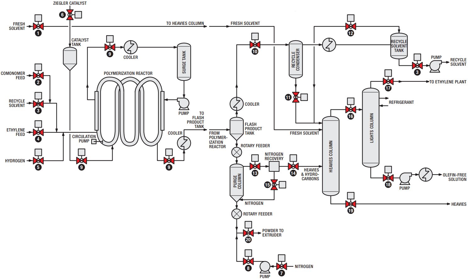 Tech-Type: Loop Reactor Slurry Polymerization of Ethylene - ppPlus